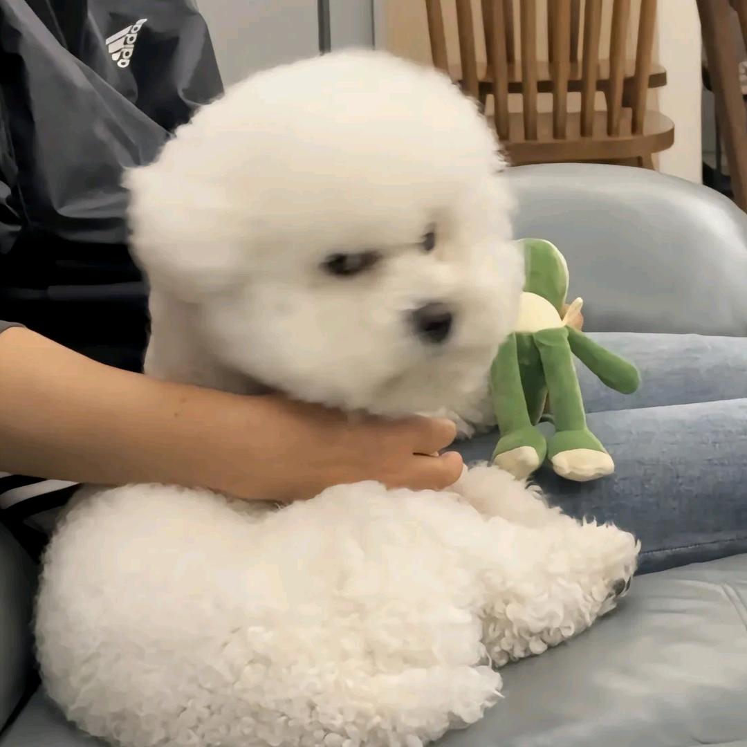 素妍文化生活馆