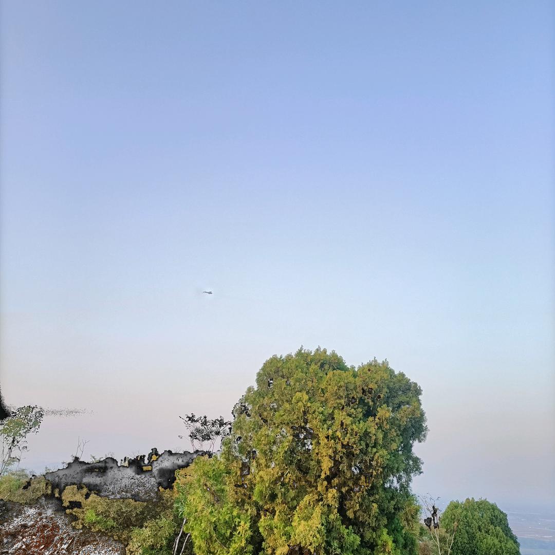 我是子沫吖