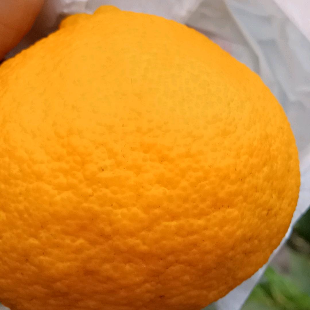 放下