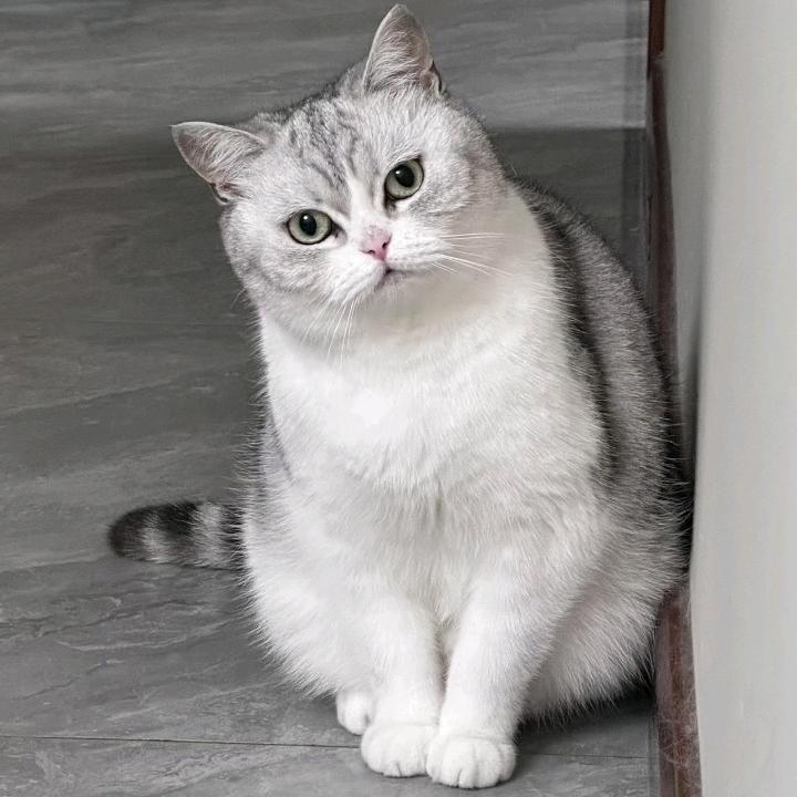 rubia_lucy（见过陶喆檀健次版）