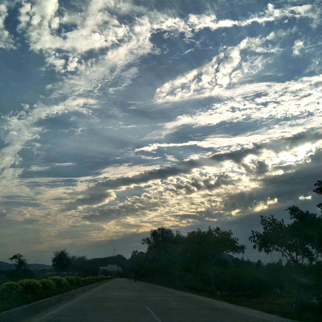 🌹余生不将就🌻