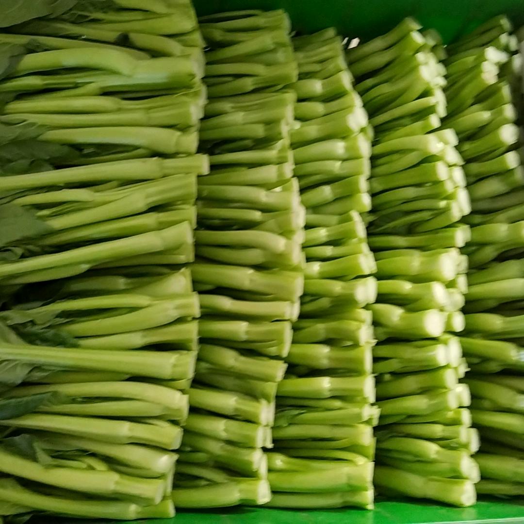 蔬菜小陈