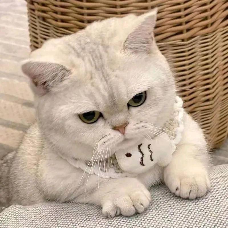 梦想