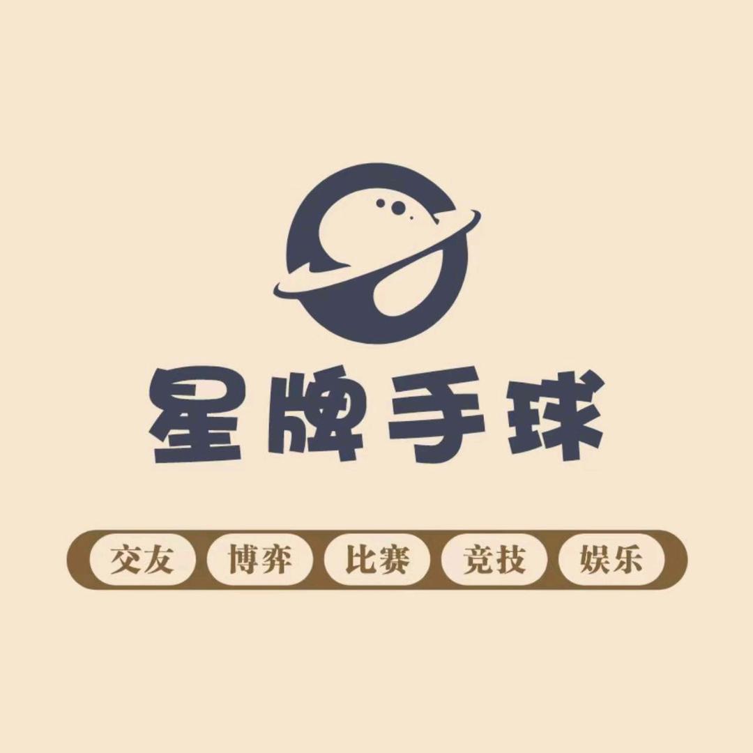 星牌手球—-大蒙·涡阳立邦总代理批发部