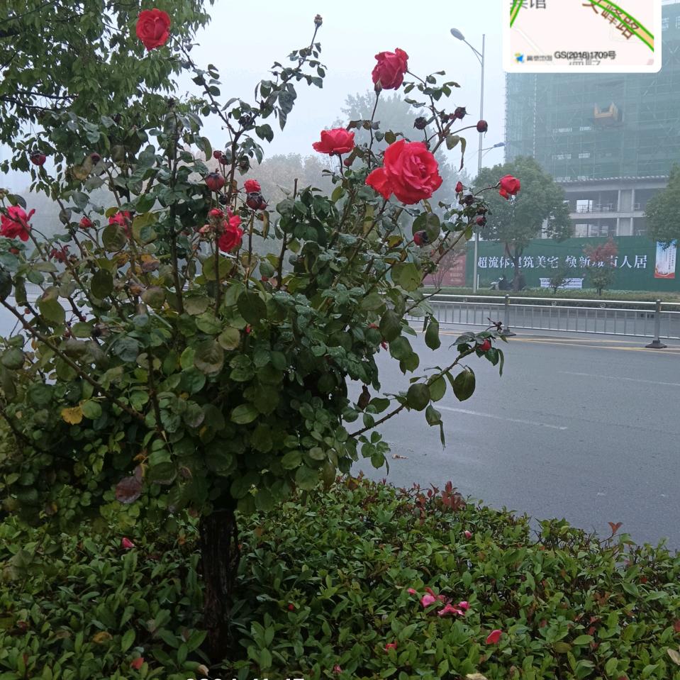 明天开心