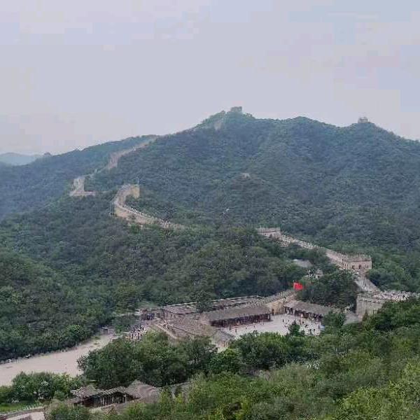 子丑寅卯