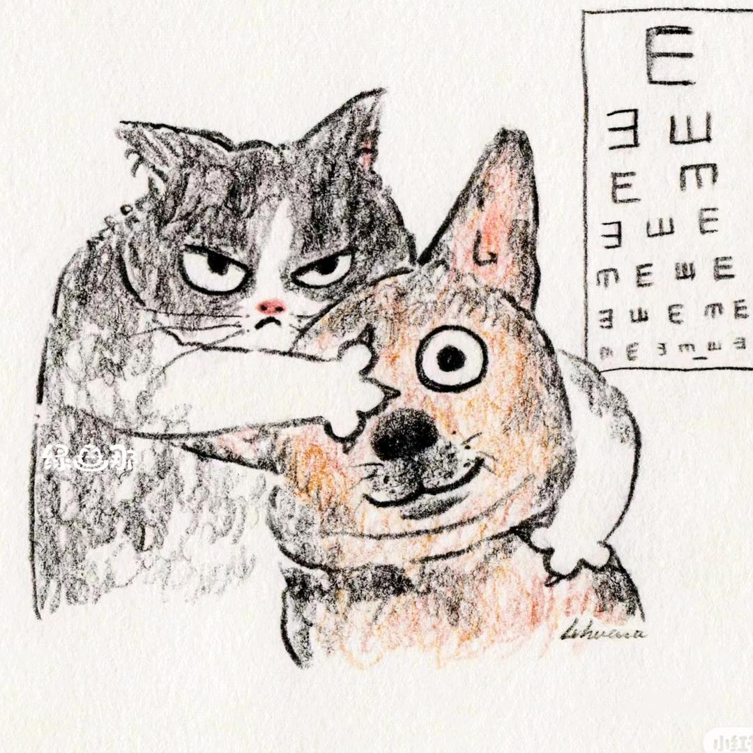 劲舞团   二九 🎮