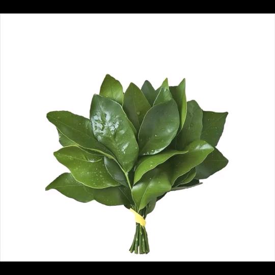 幸运儿₍˄·͈༝·͈˄*₎◞ ̑̑