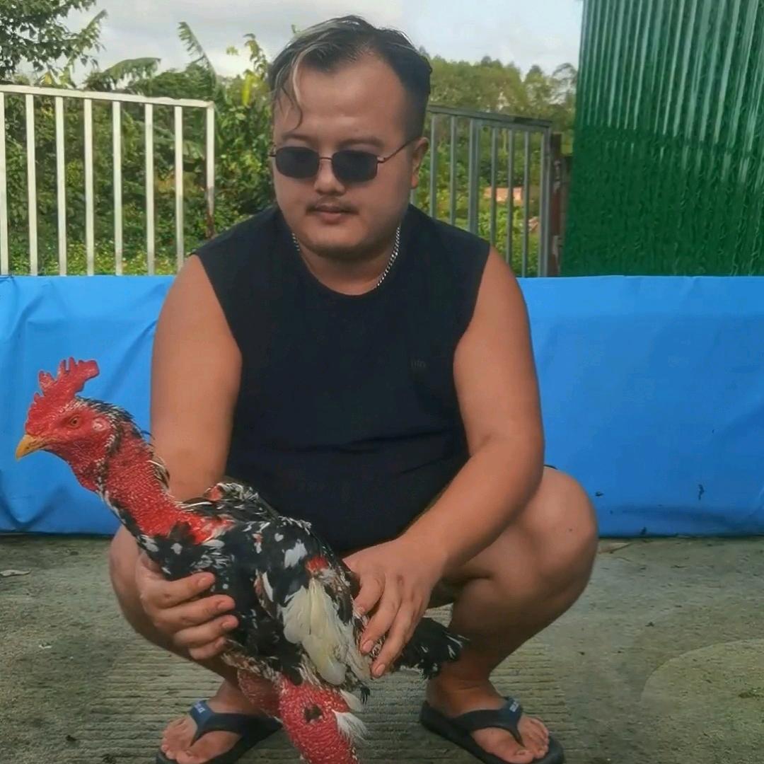 TNK一越南斗鸡阿成