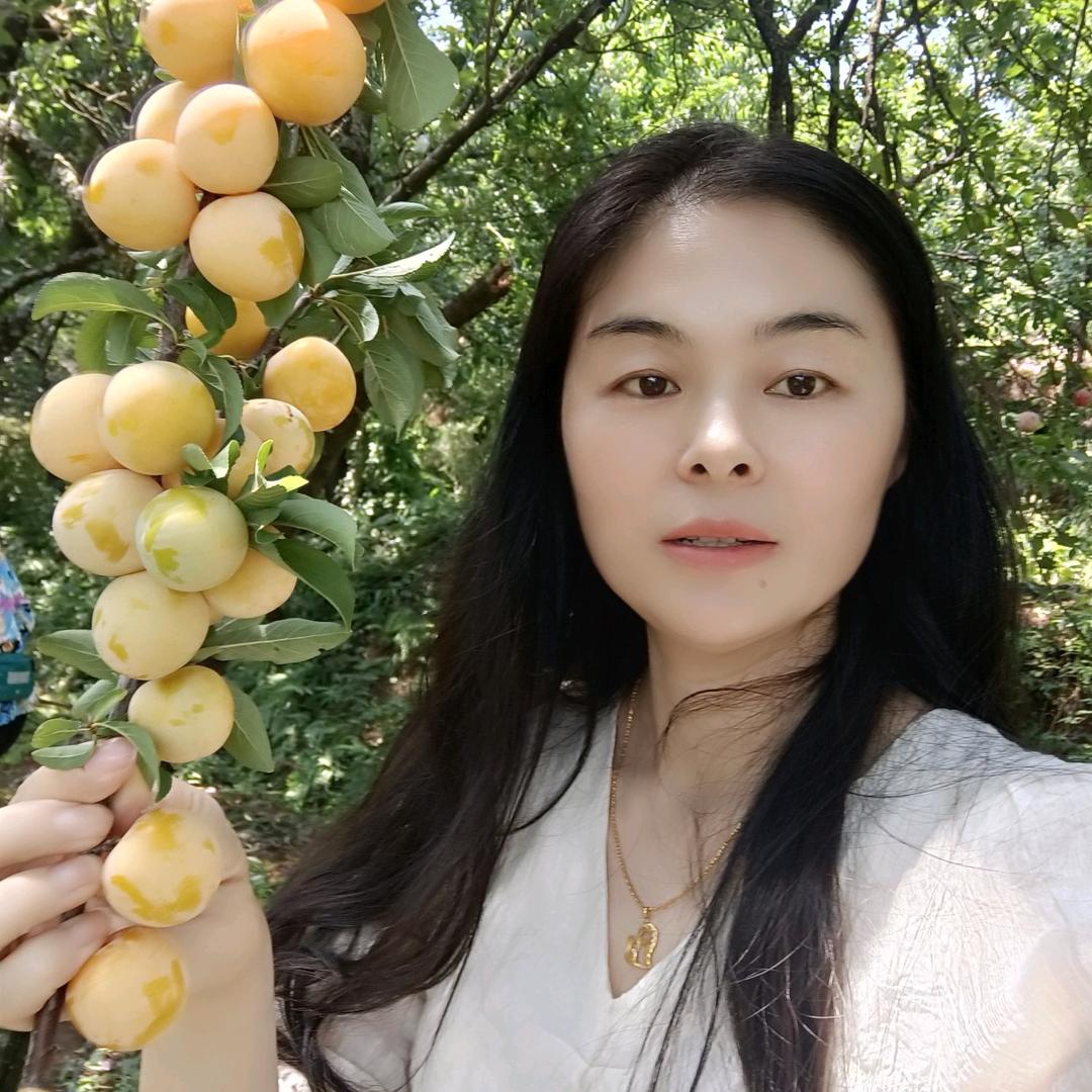 美丽笨女人