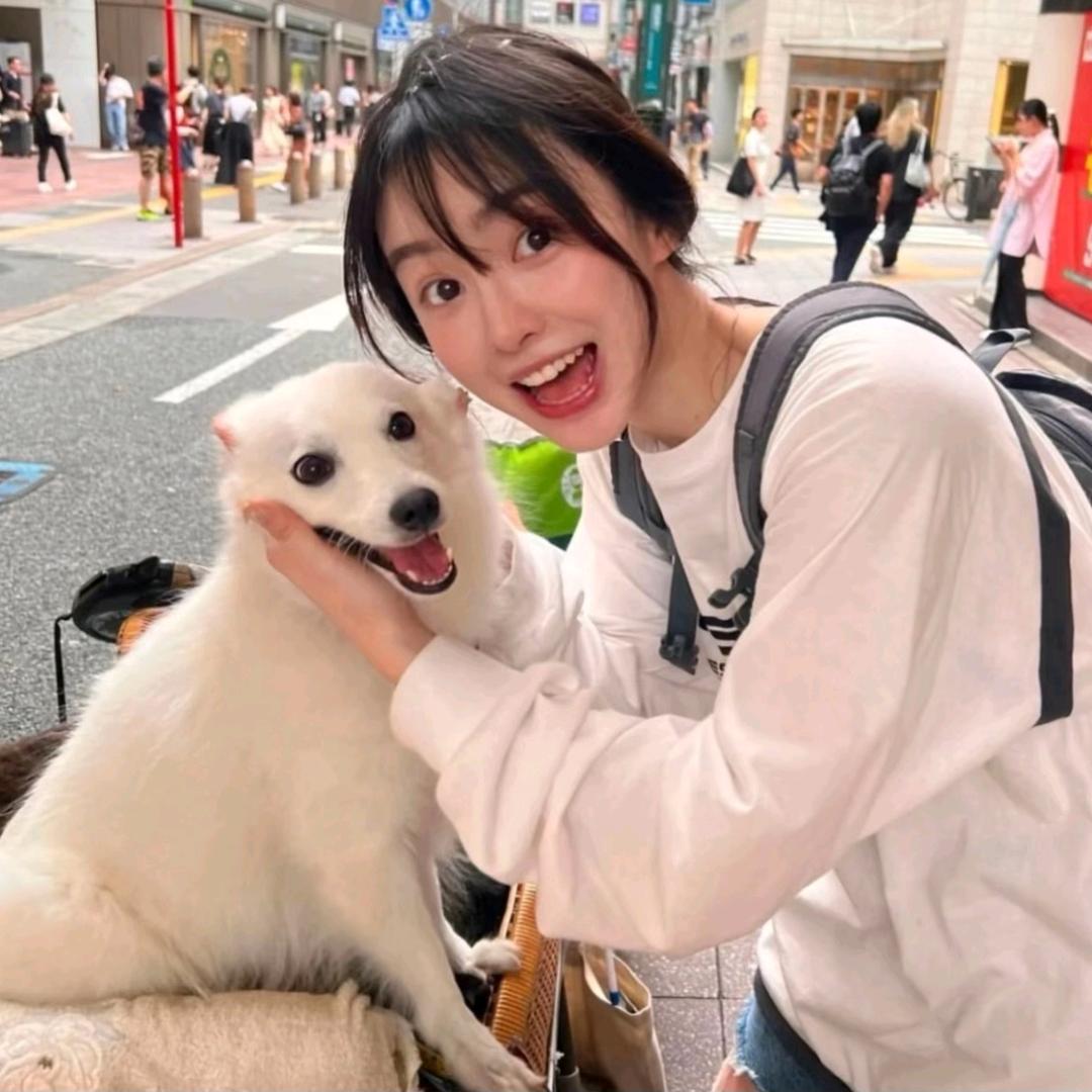 小葵不要懒