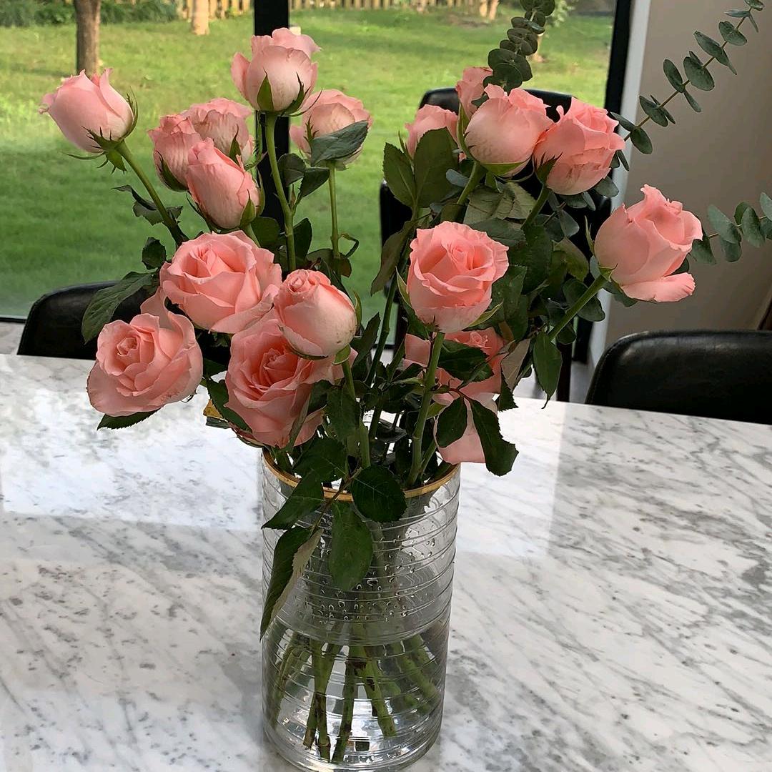 🥀余生ꦽ爱᭨自己ꦾᩚ࿐