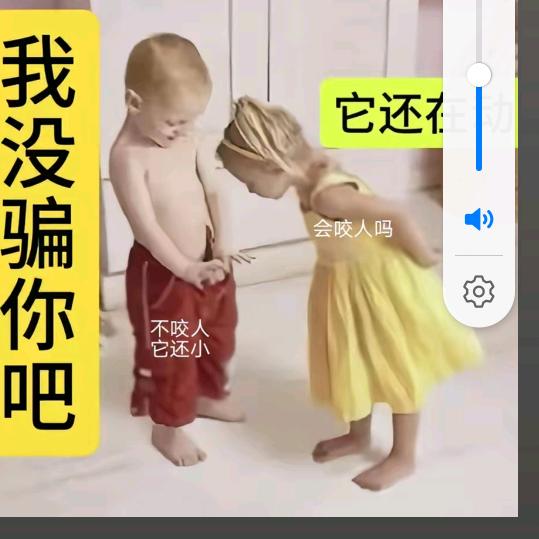 我是绝手遮天