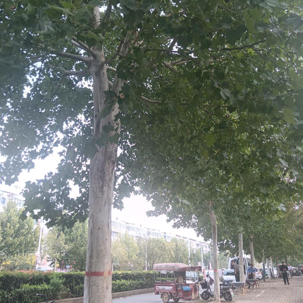 @一（尹）米阳☀️光