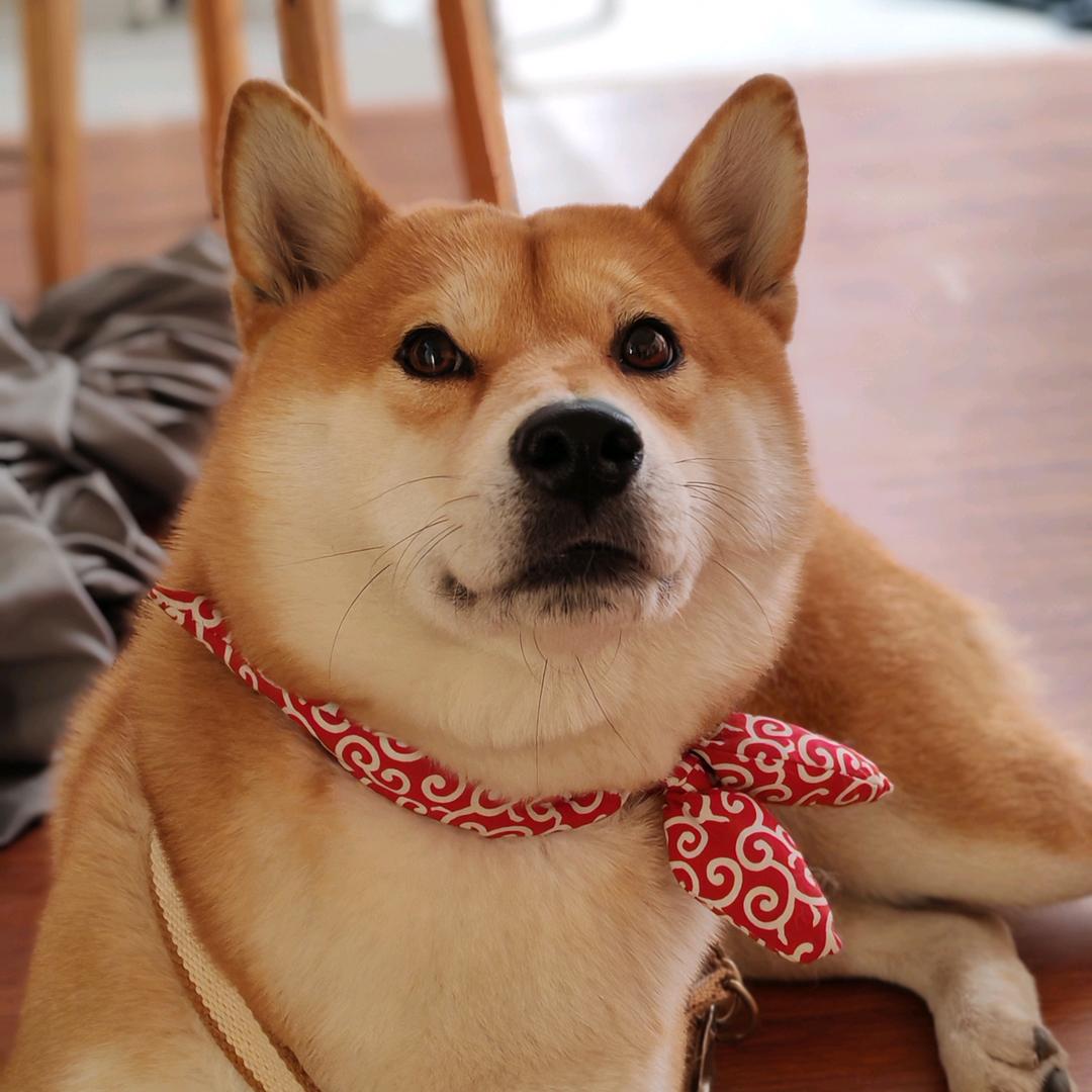 小赵同學
