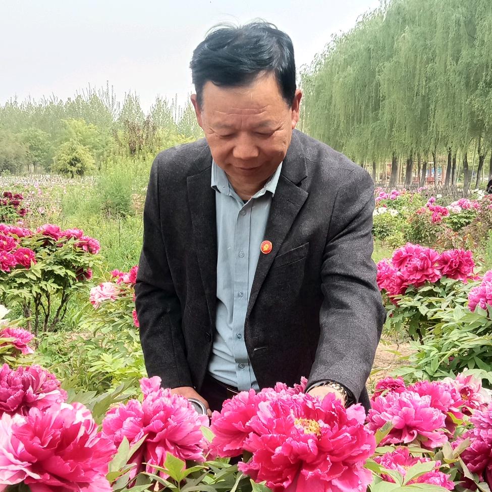 快乐的小老头