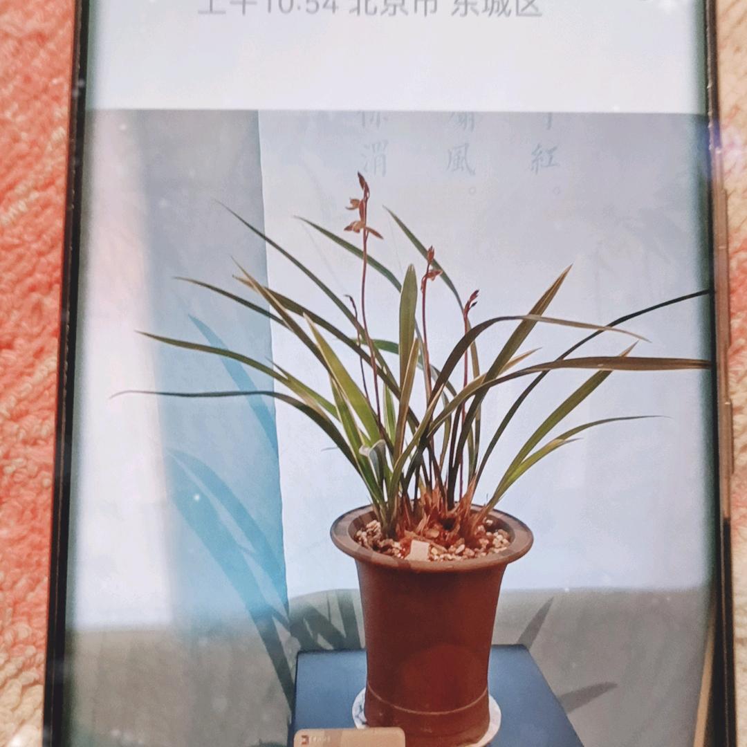 心想事成9423