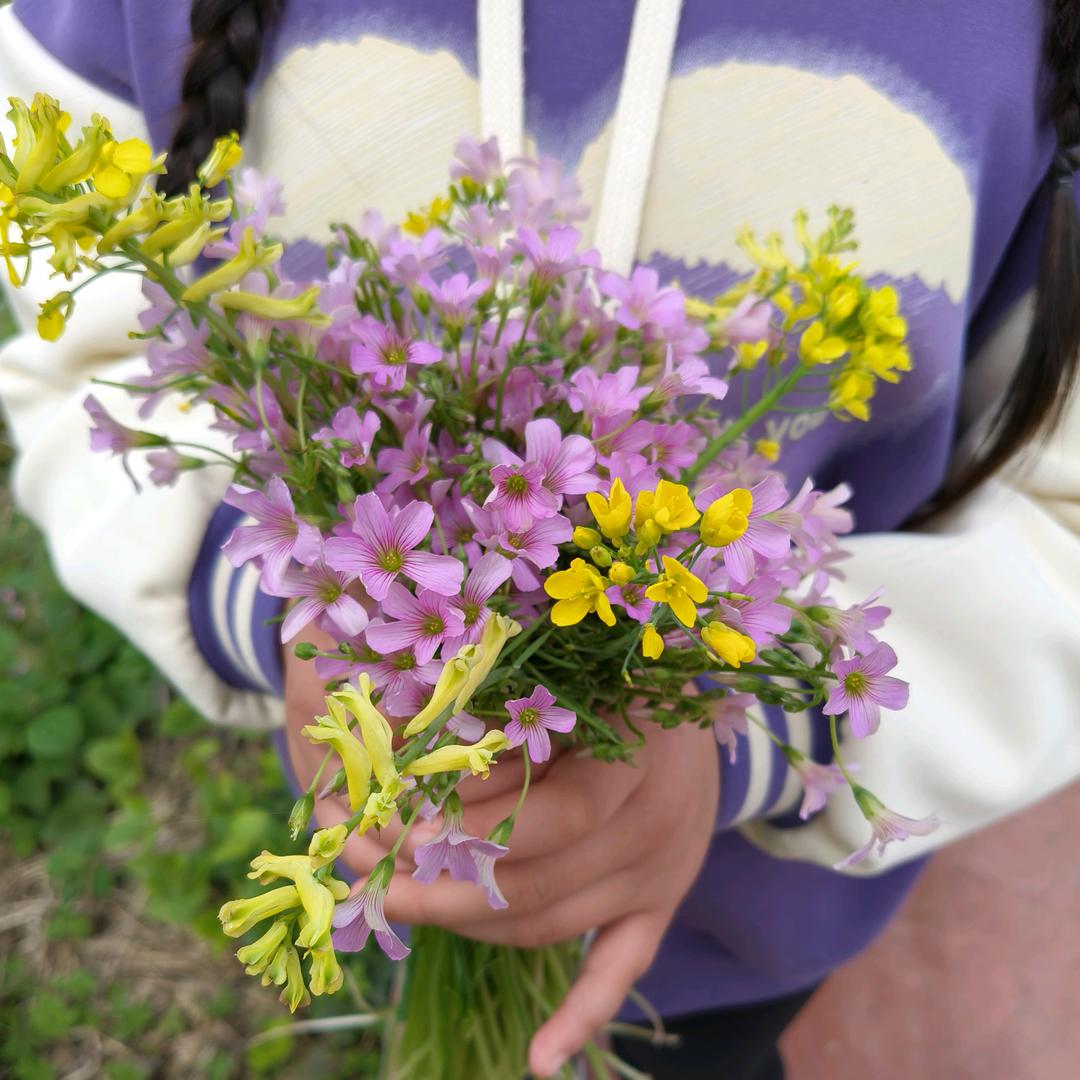 向日葵一样🌻