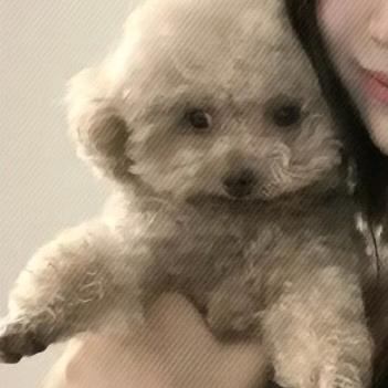她想养小狗