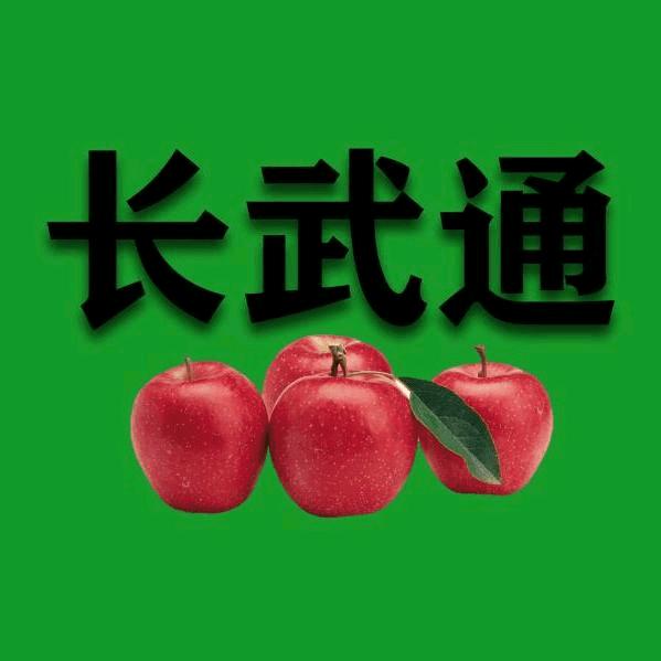 长武通