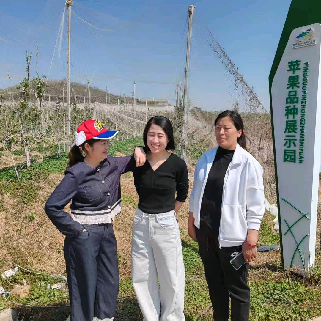 师家三妯娌的乡村生活