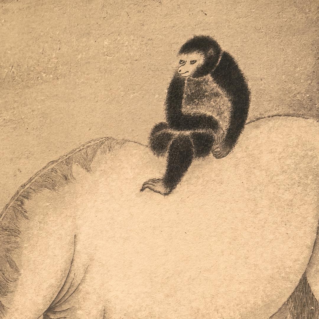 小毛