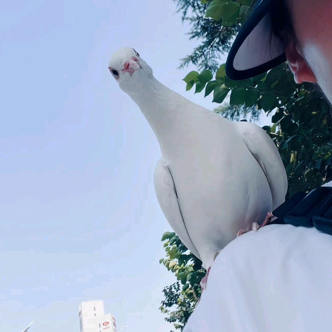 幸福快乐每一天