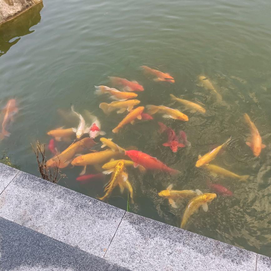 陈姐