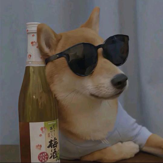 万千少女的噩梦