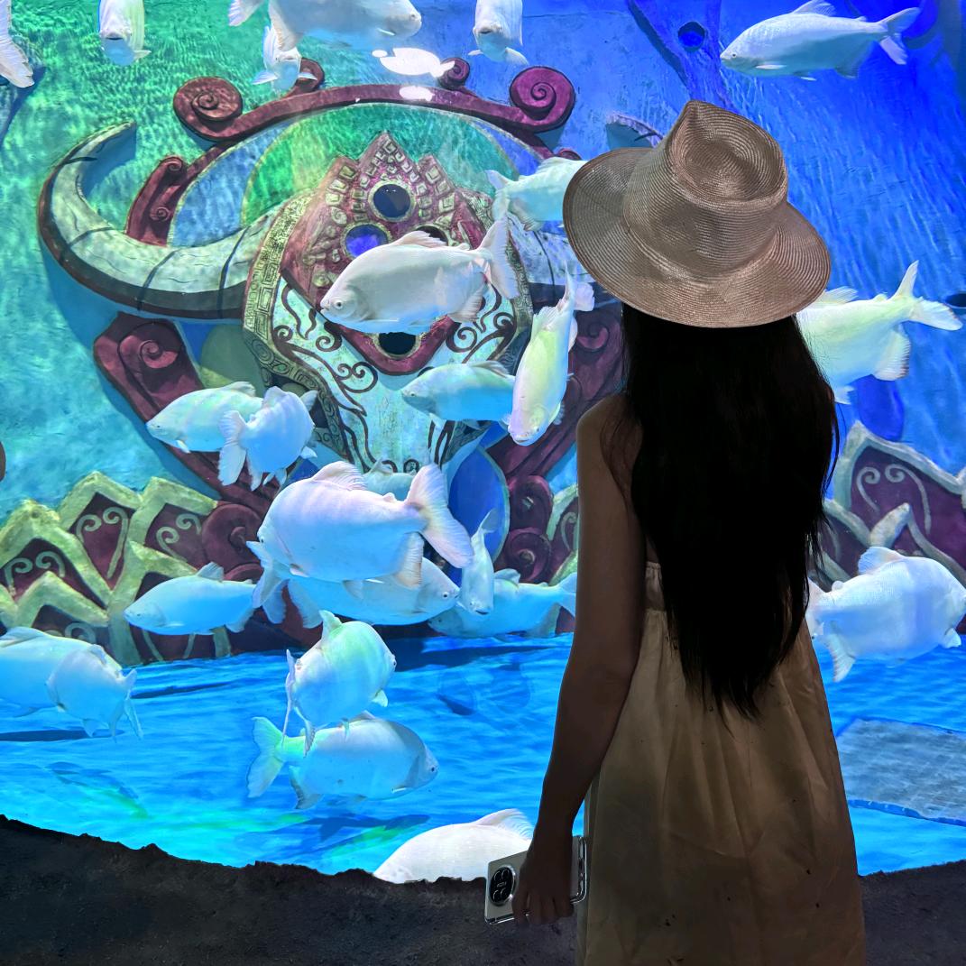 🐠的记忆