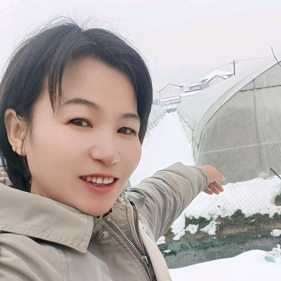 安徽晓仿 农副产品