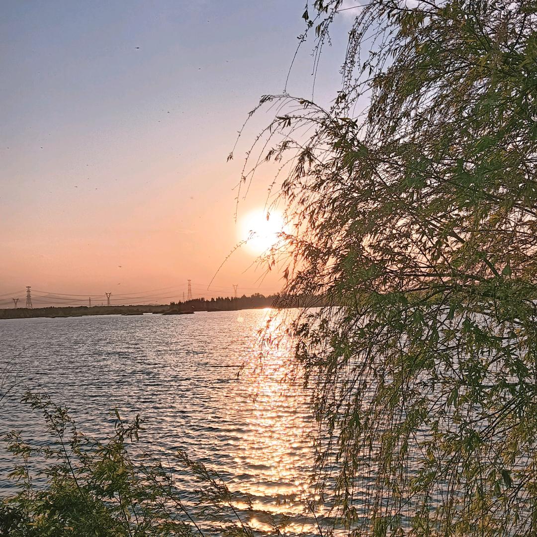 海尔电器（红星美凯龙店）