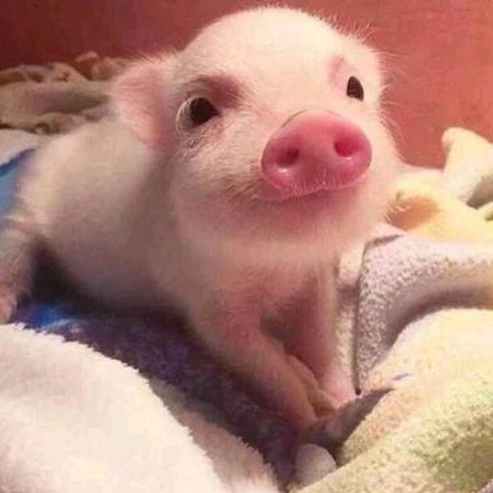 ♏都往后稍稍！