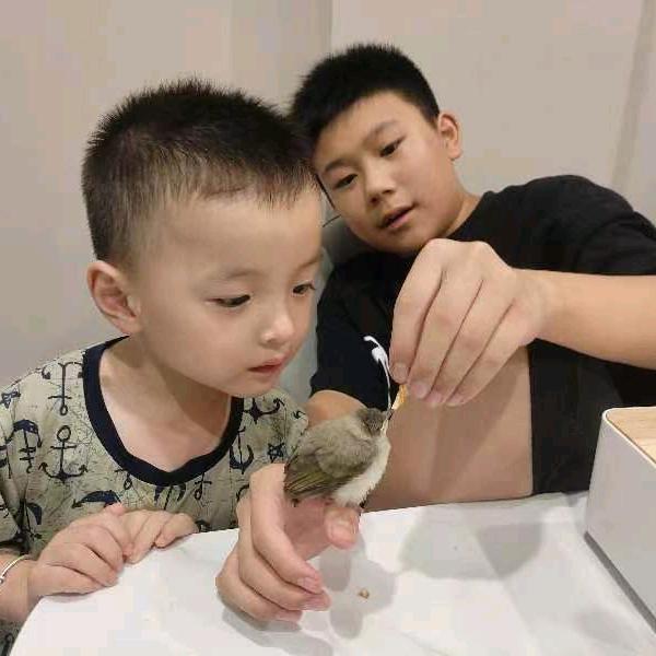 晓芹