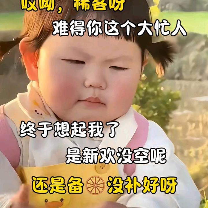 ♞༒一眼万年༒༗༗