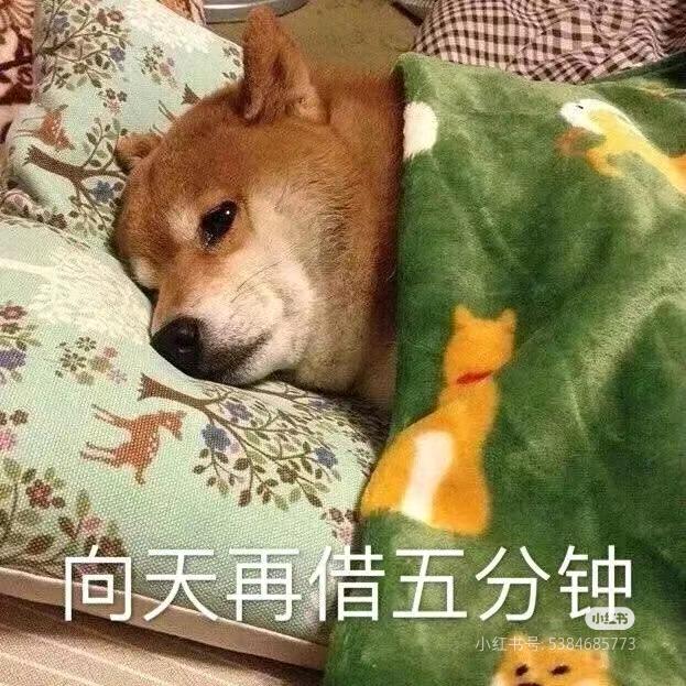 嘛咪嘛哩哄