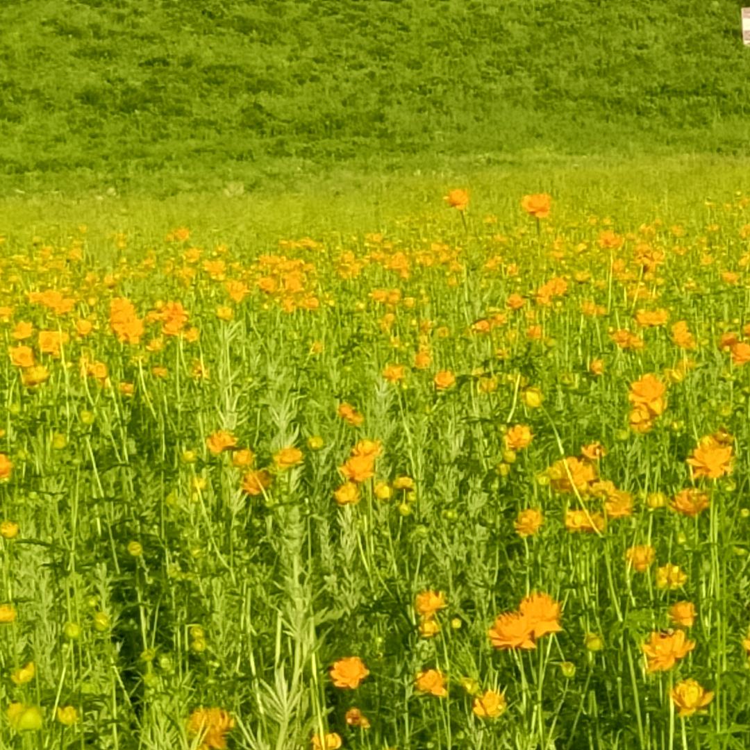 相依相伴_225279326