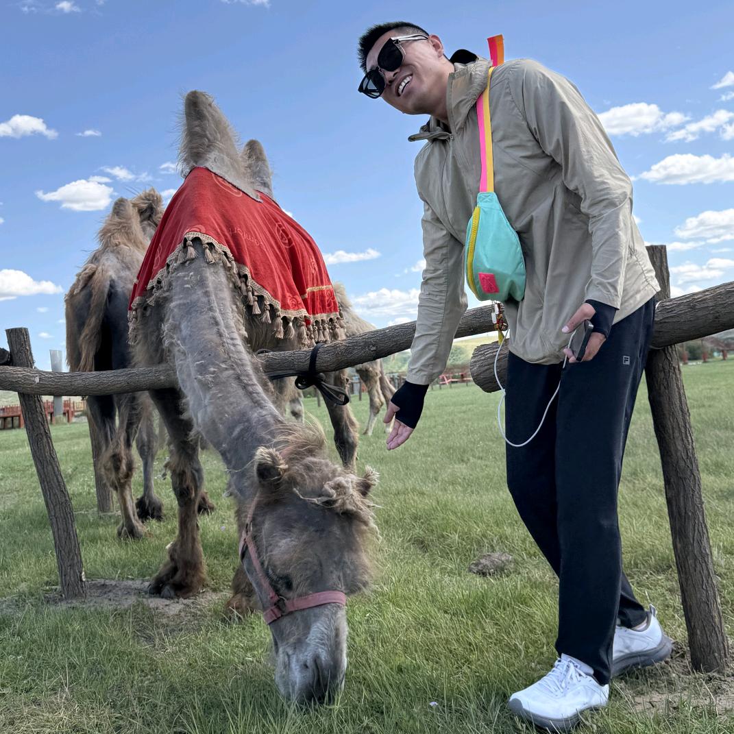 旅游界的佩奇