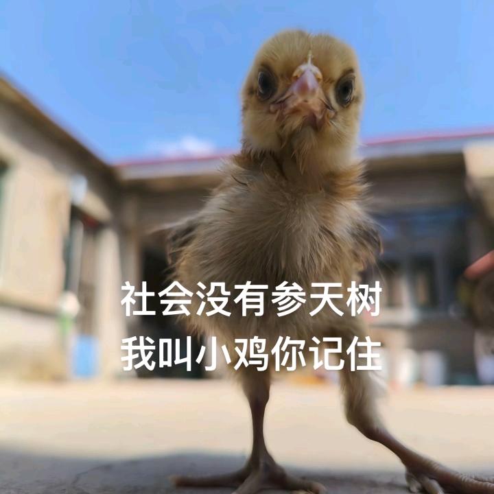 拾光