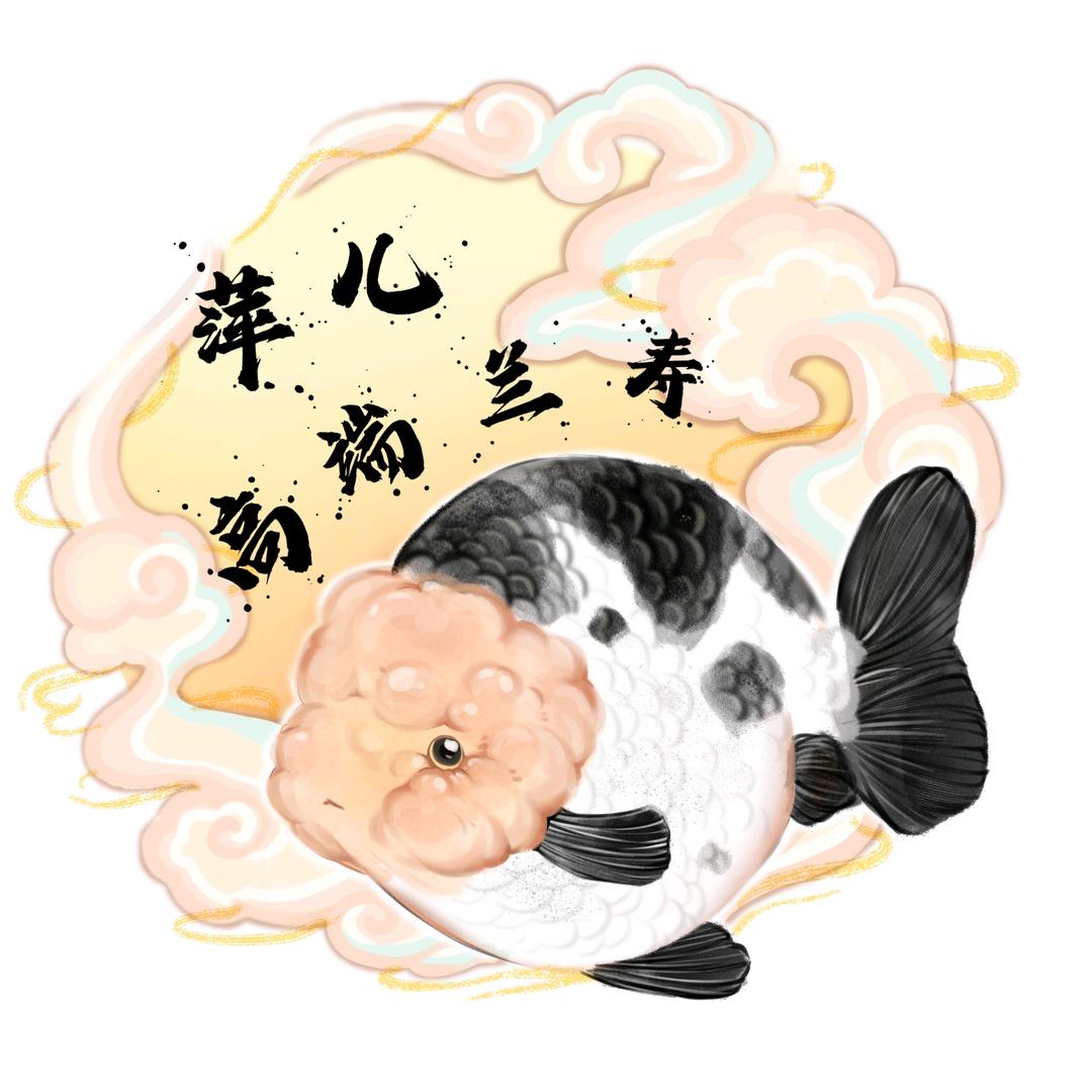 萍儿高端兰寿