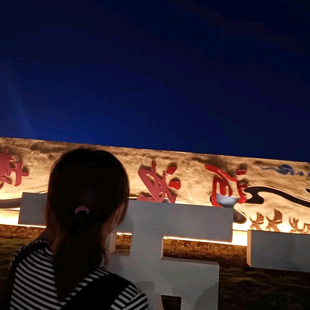 向阳而上