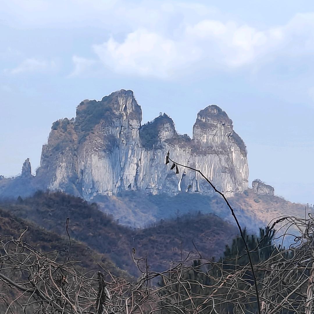 小高梁粑粑