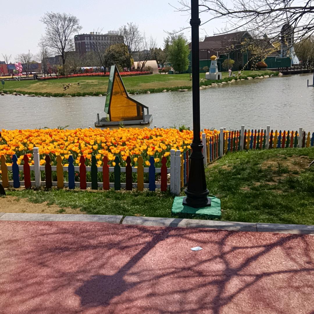 最爱你的人是我