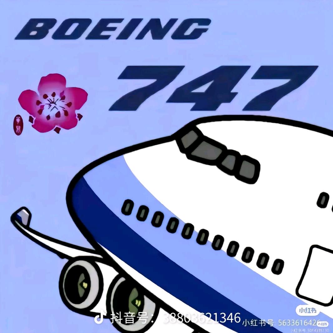 一架华航611