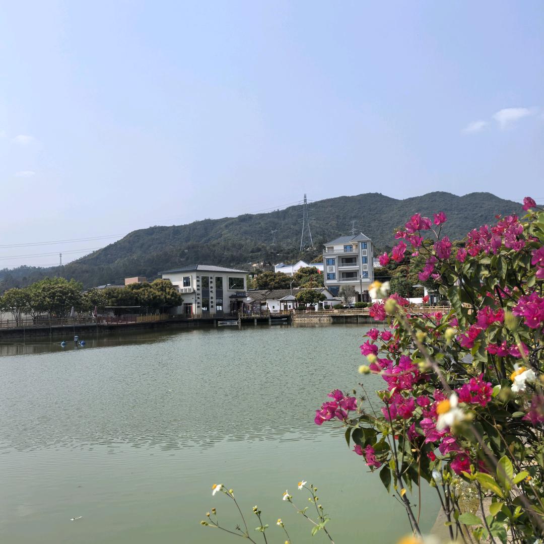 惠州市诗和远方房地产经纪有限公司