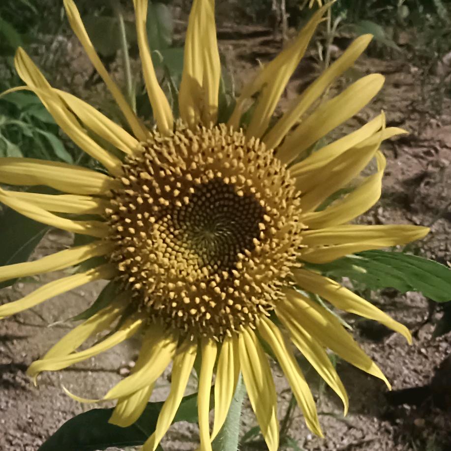 往后爱财爱己，风生水起