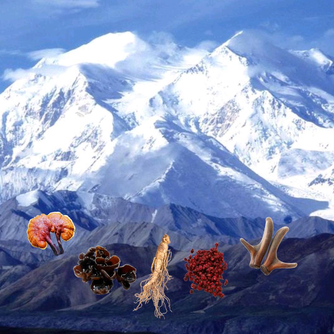 长白山养生零食(人参山货等绿色加工品)