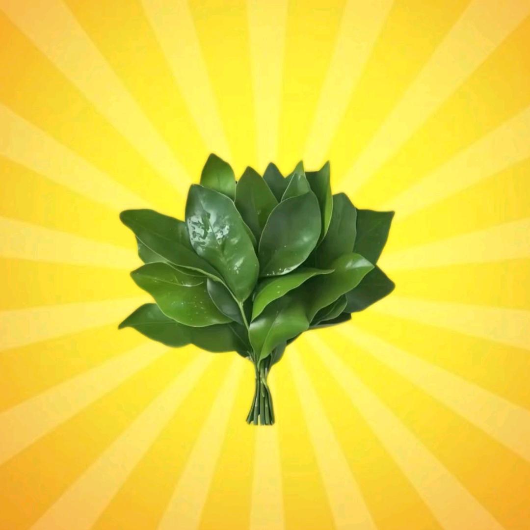 海口秀英宸迷笙百货严选