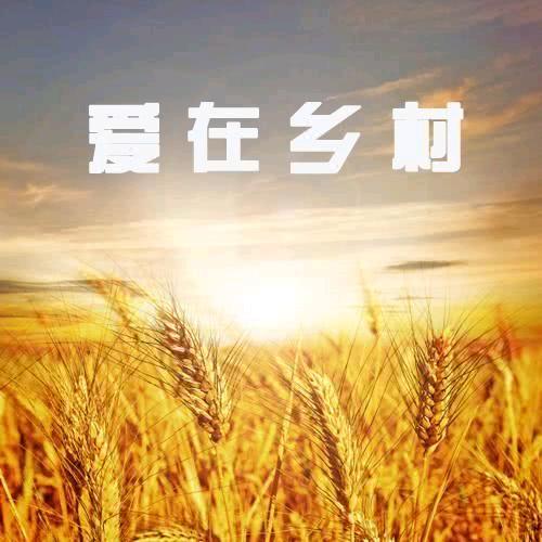 @三农铁子