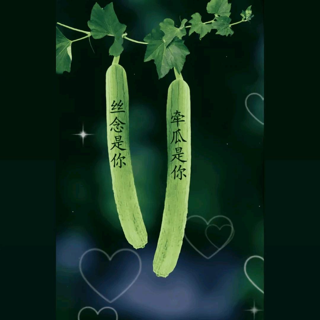 用户7409344724739，旭日东升